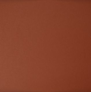 Metallic Paint for Interior Walls