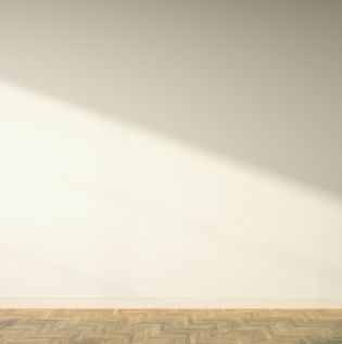  White Gloss Paint