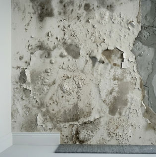 Common Problems in Walls Without Waterproofing