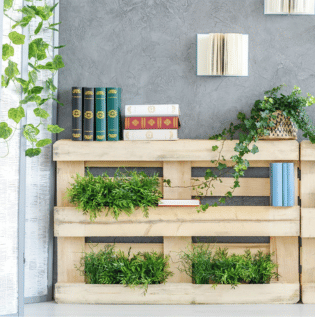 Accent Wall Wooden Bookshelf - Asian Paints