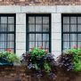 Wooden Windows - Asian Paints