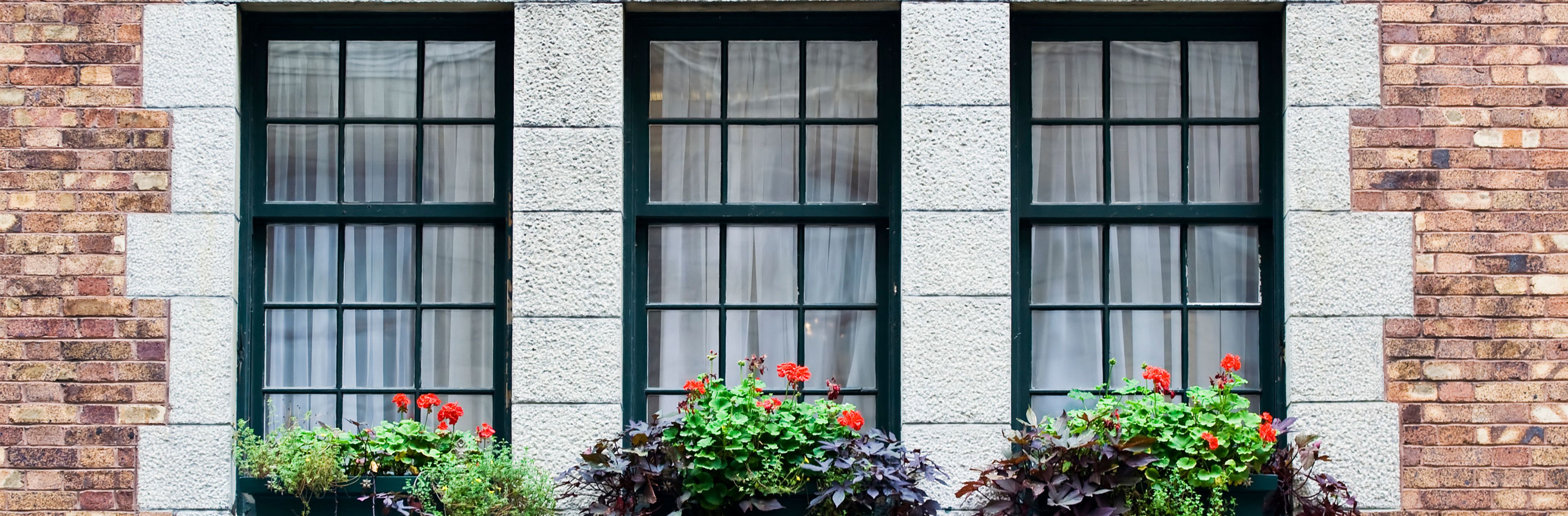 Wooden Windows - Asian Paints