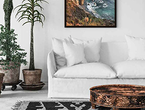 Chic living room decor ideas - Asian Paints