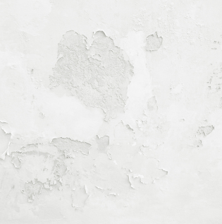  Water Dampness - Asian Paints