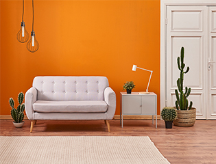 Amazing two tone color schemes for living rooms- Asian Paints