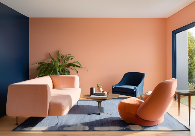 Peach and Navy Blue Wall Combination - Asian Paints