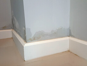 Dampness in the interior walls - Asian Paints