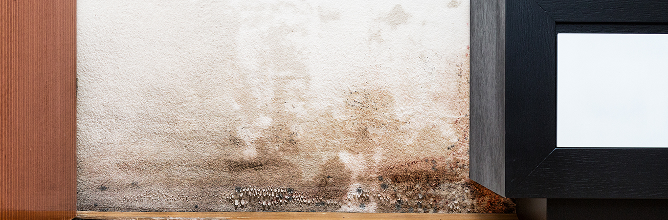 new-house-waterproofing