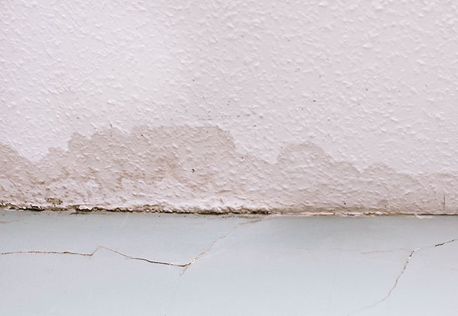 Signs of wall water damage – Asian Paints