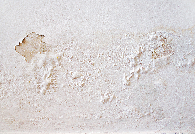 Severe water damage on the wall – Asian Paints
