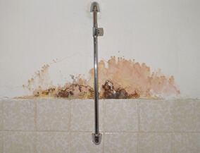 Constant Seepage Of Water In The Walls Waterproofing Solutions - Asian Paints