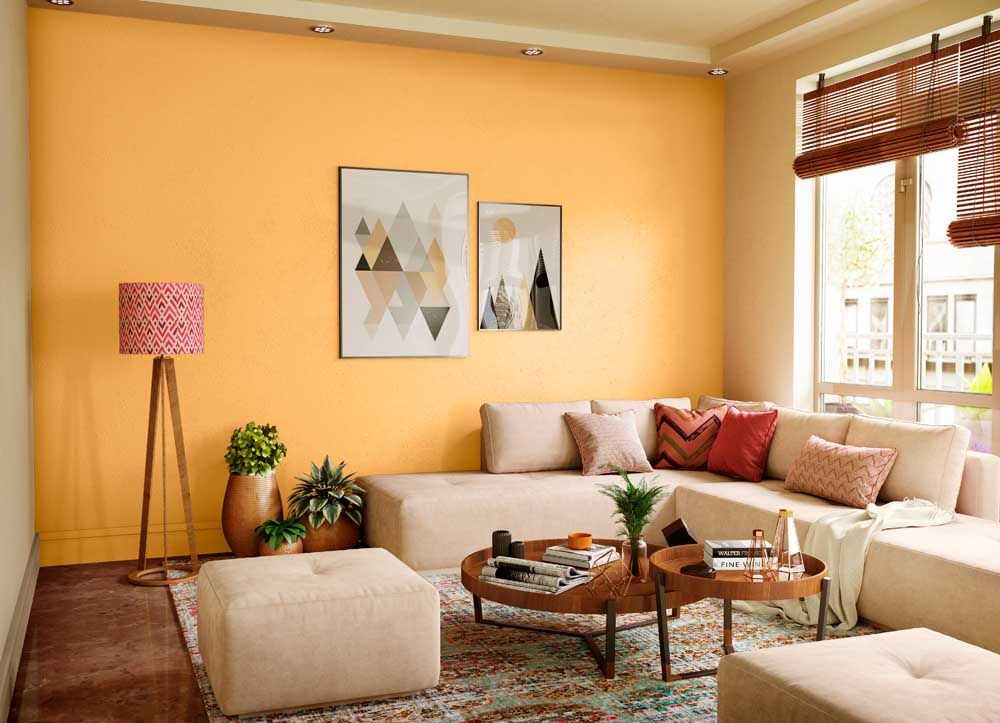 カラーパレット Orange Crush (7959) House Wall Painting Colour | Asian Paints