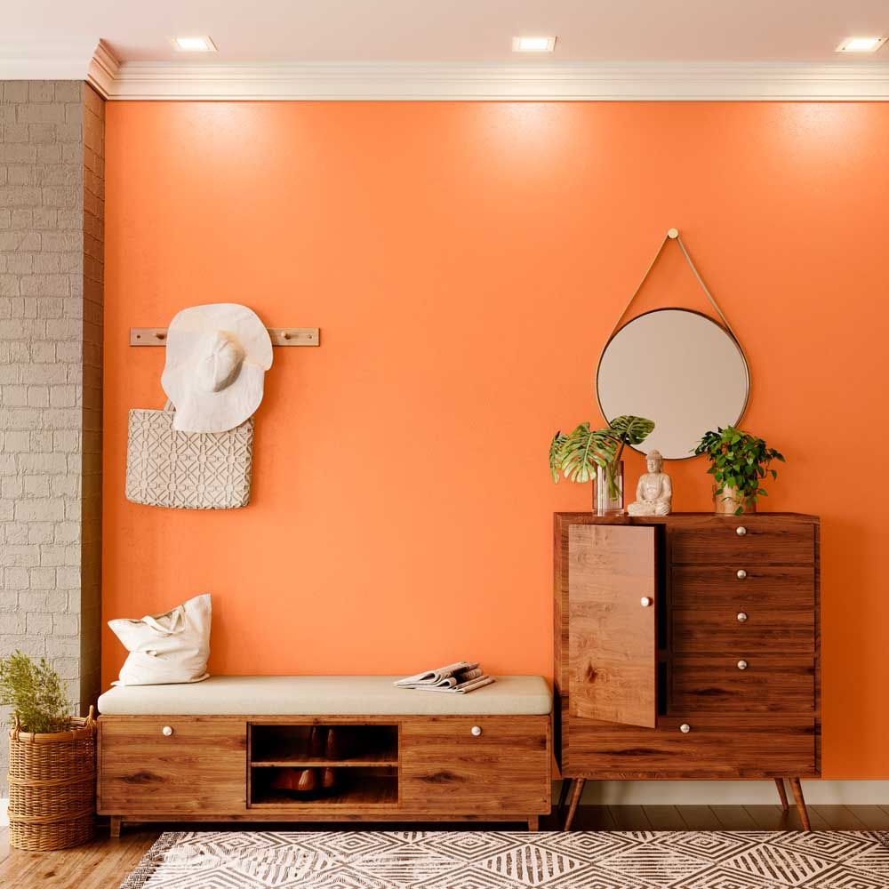 Rusty Vivid Orange (7990) House Wall Painting Colour | Asian Paints