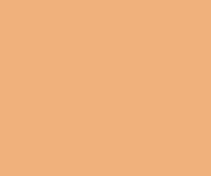 tangerine yellow asian paints