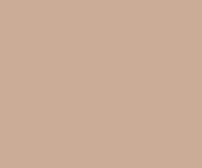 dark brown colour asian paints