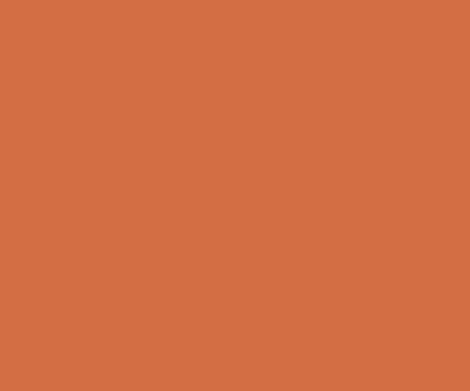 Orange Tan-N (9921) House Wall Painting Colour | Asian Paints