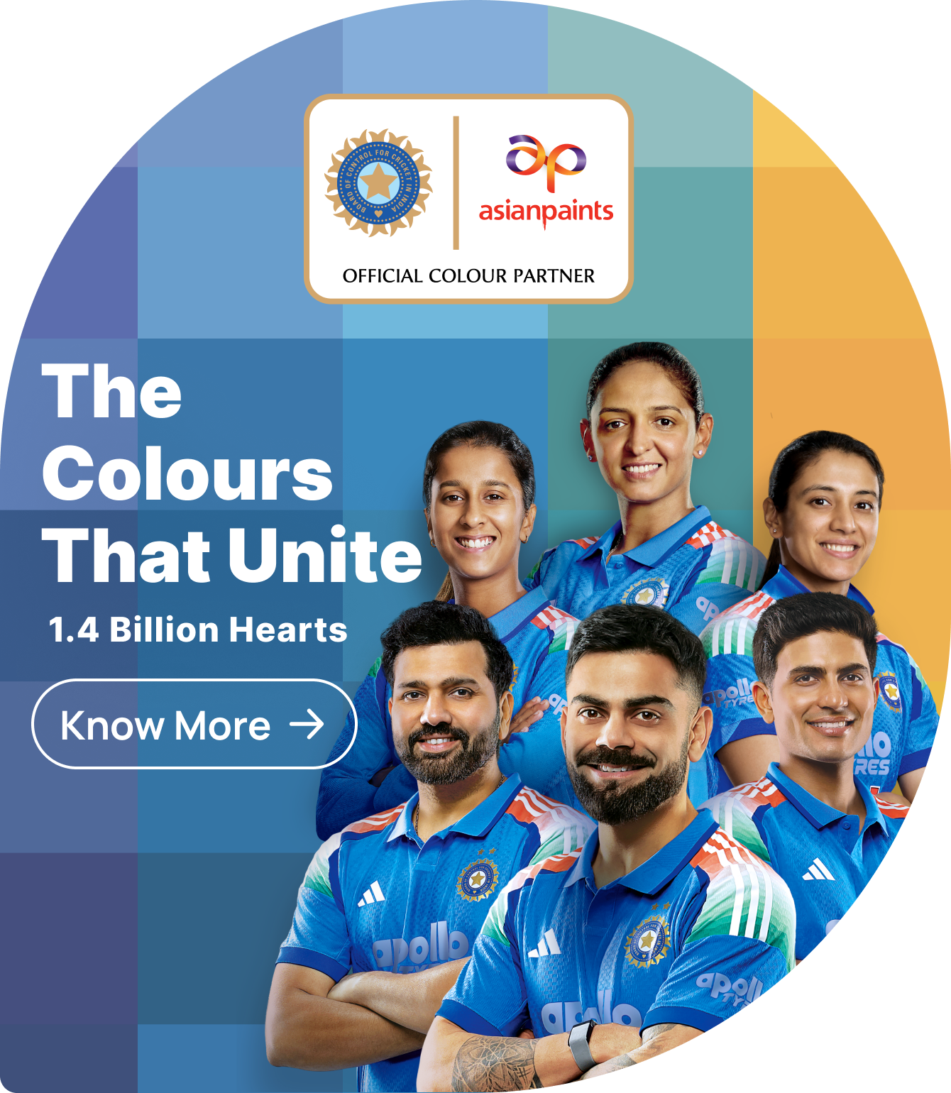 bcci-campaign-colour-partner-popup.png