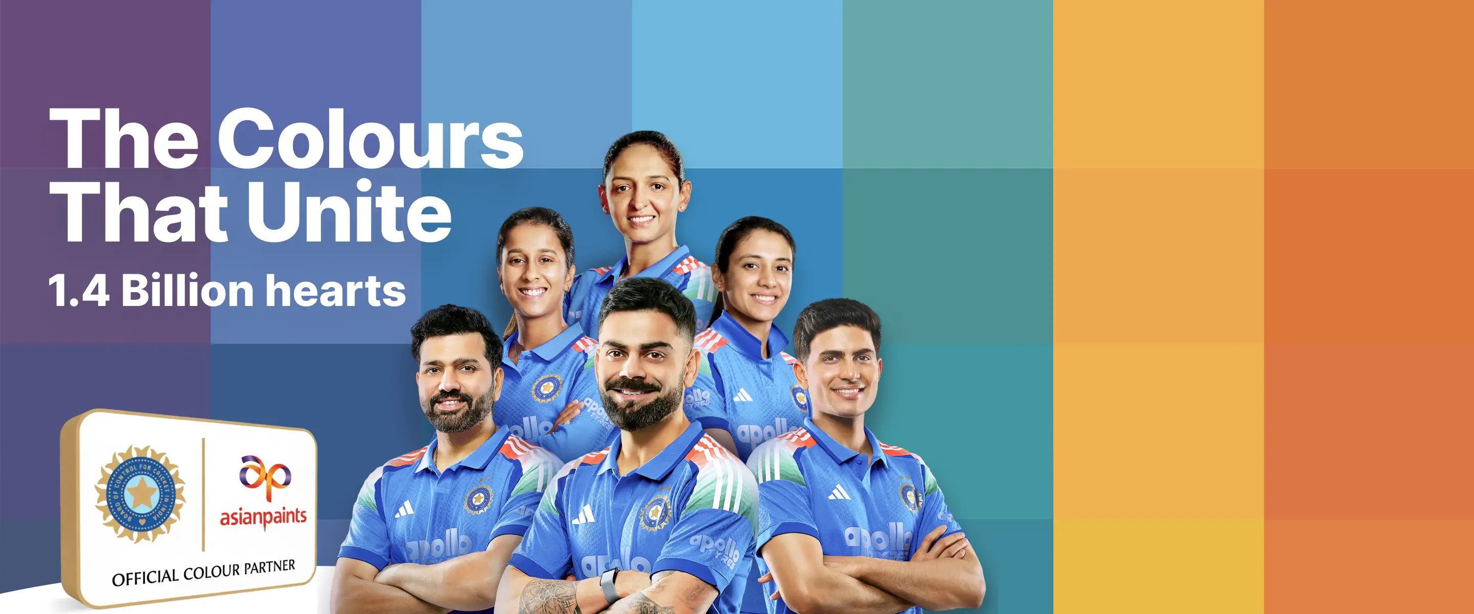 Indian cricket team banner