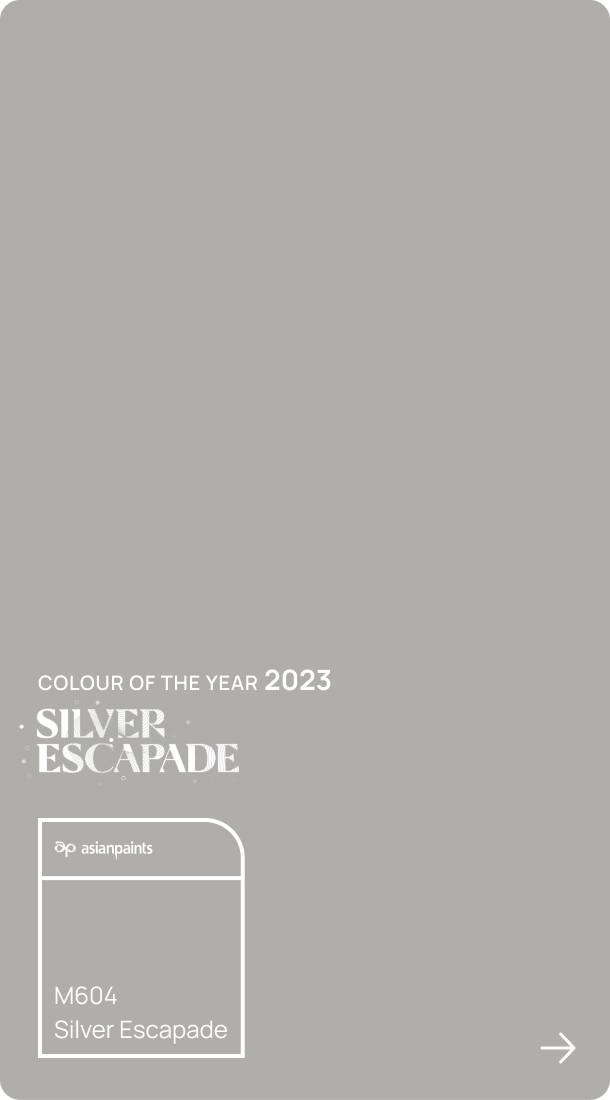 silver-escapade