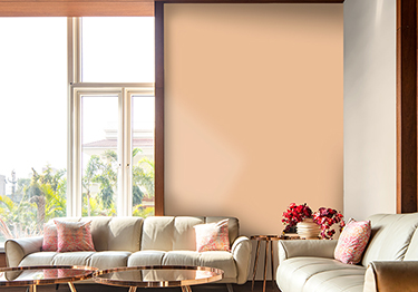 Share more than 166 asian paints interior colour gallery