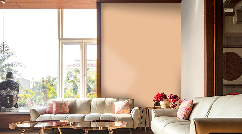 Two Colour Combination for Living Room Walls - Homes4India Pvt. Ltd.