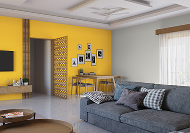Wall Colour Combinations For Living