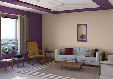 asian paints colors for hall