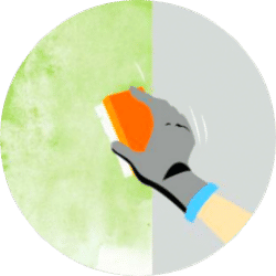 Cleaning Exterior - Asian Paints