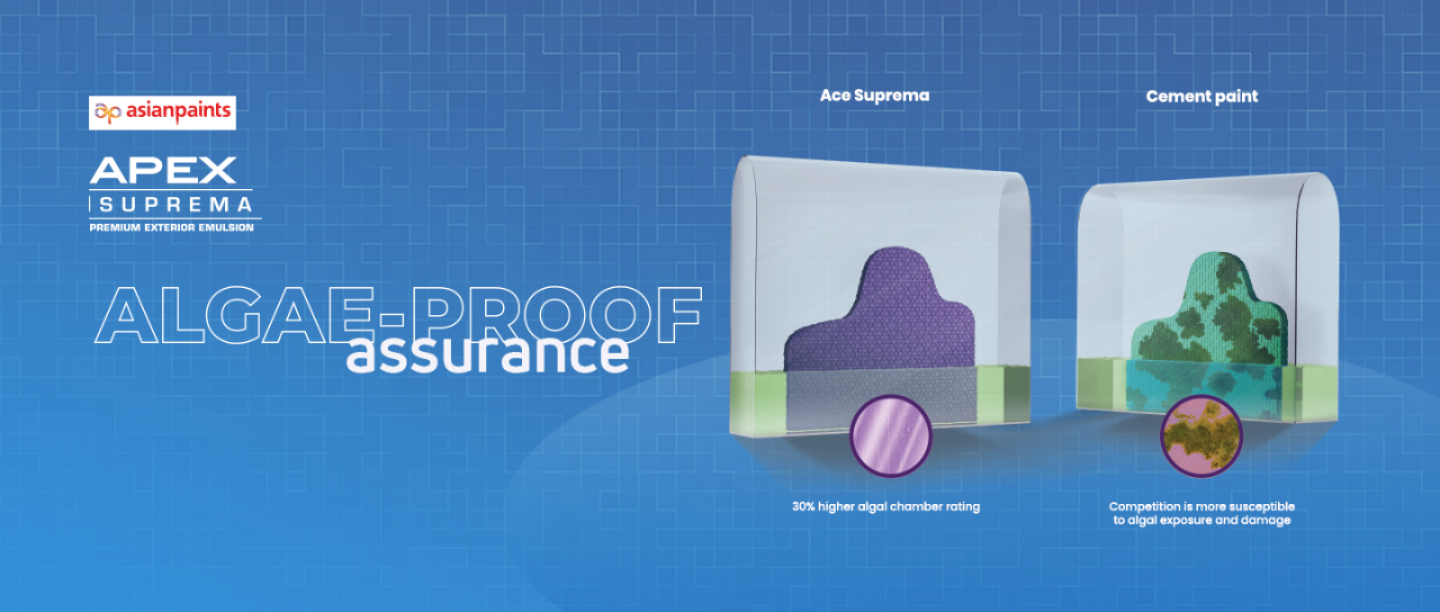 Algal-Proof-desk