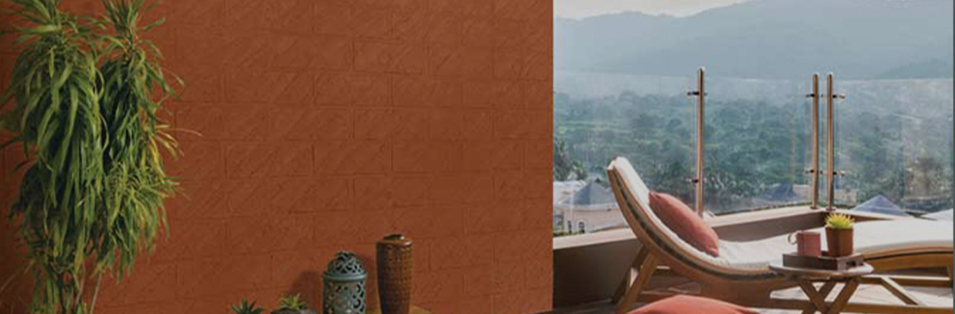Exterior Textured Finishes - Asian Paints