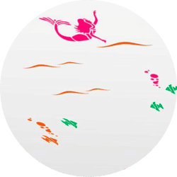 Ceiling Themes for Interior Walls - Asian Paints