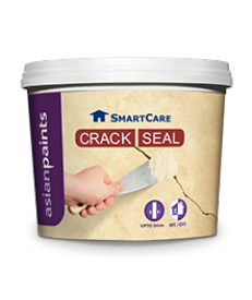 SmartCare Crack Seal - Asian Paints