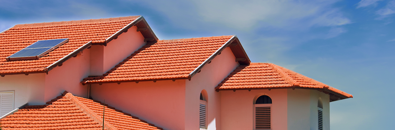 Apex Tile Guard Trusted, Roof Tile Paint
