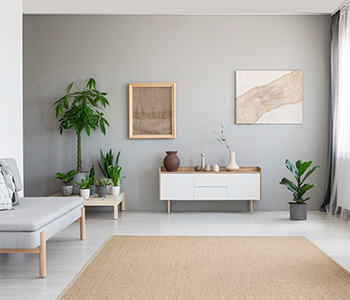 Minimal White Living Room Room Design - Asian Paints