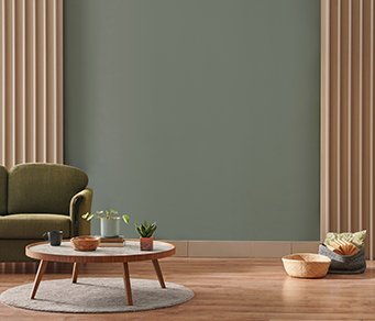 sps-int-ideas-home-paints-mobile-two-tone-combinations