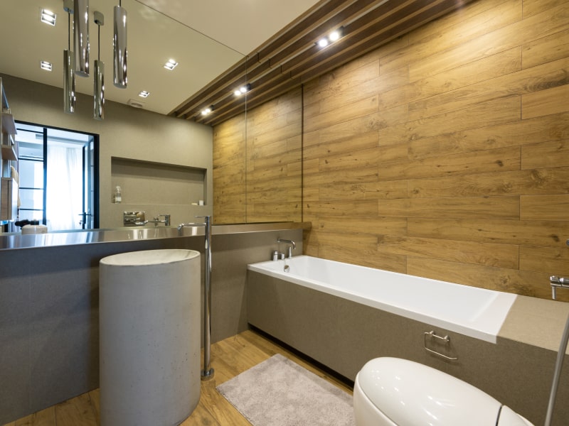 Arctic global ugyldig Bathroom Ceiling Design Ideas | Beautiful Homes
