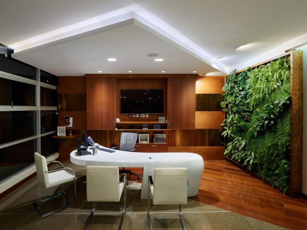 Vertical wall garden in this office design - Beautiful Homes