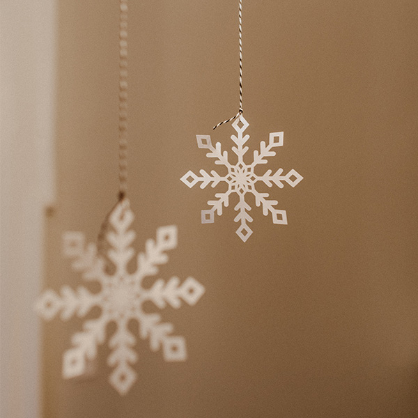 Frost hanging decorations for Christmas - Beautiful Homes