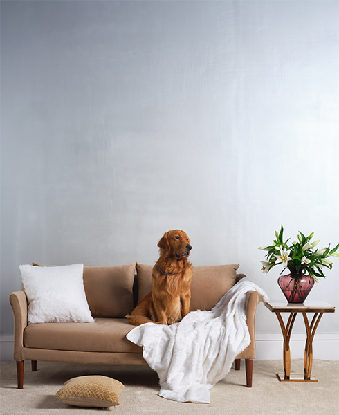 Stylish interior of living room - Beautiful Homes