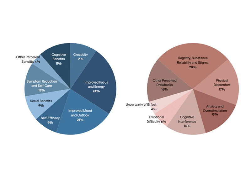 Microdosing benefits & drawbacks  - Beautiful Homes