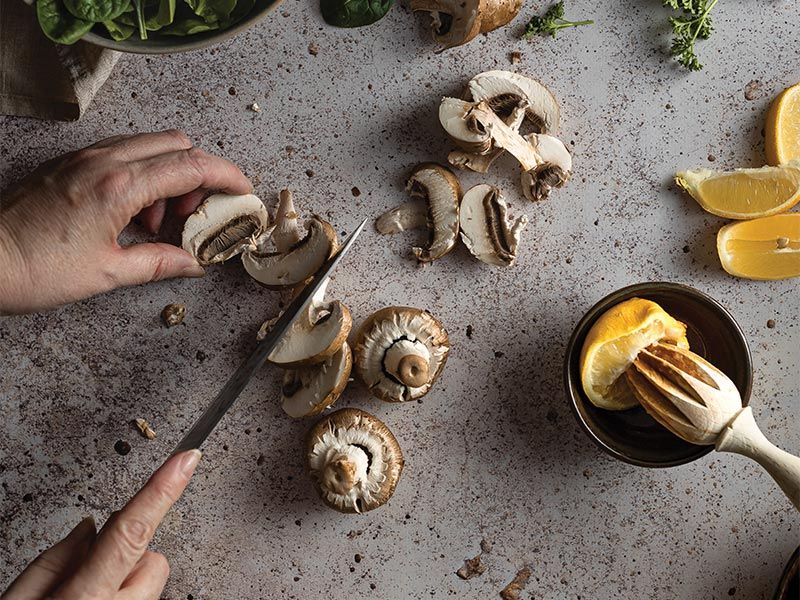 Alternatives for meat & turn towards plant-based diets- Beautiful Homes