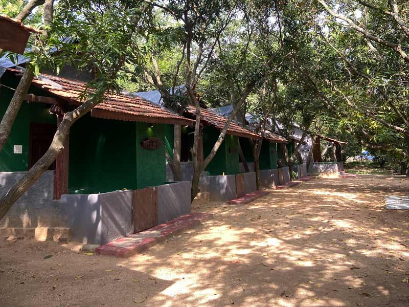 Velanga Orchard from Chittoor - Beautiful Homes