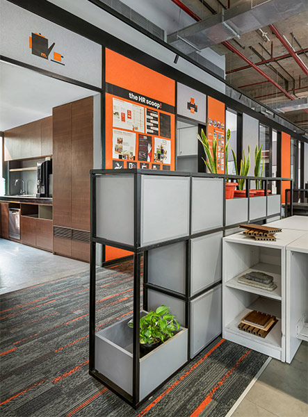 Potted plants for office design – Beautiful Homes