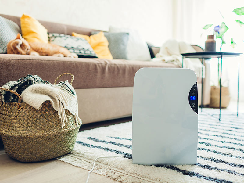Dehumidifier - Beautiful Homes