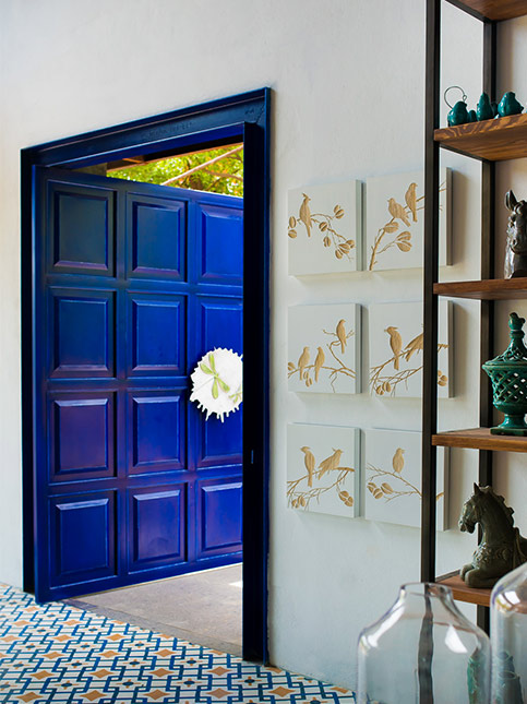 Royal blue door design for hall – Beautiful Homes