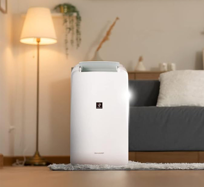 Portable dehumidifier – Beautiful Homes