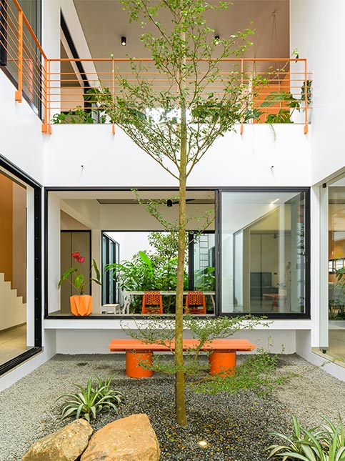 Indoor plant ideas – Beautiful Homes