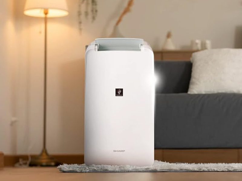 Simple & Plain White Coloured Dehumidifier - Beautiful Homes