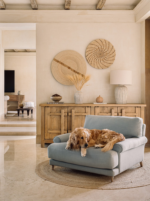 Comfy And Cozy Pastel Blue Lounge Chair - Beautiful Homes