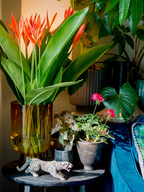 Plants and fresh flower adding depth to the place – Beautiful Homes